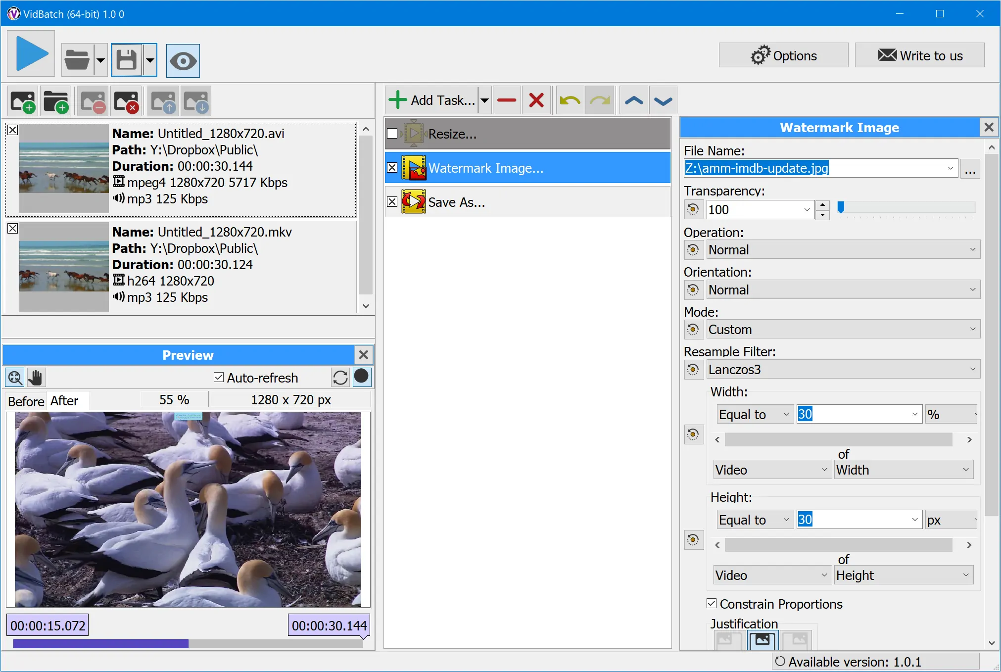 VidBatch Screenshot - prcessing videos in a batch mode